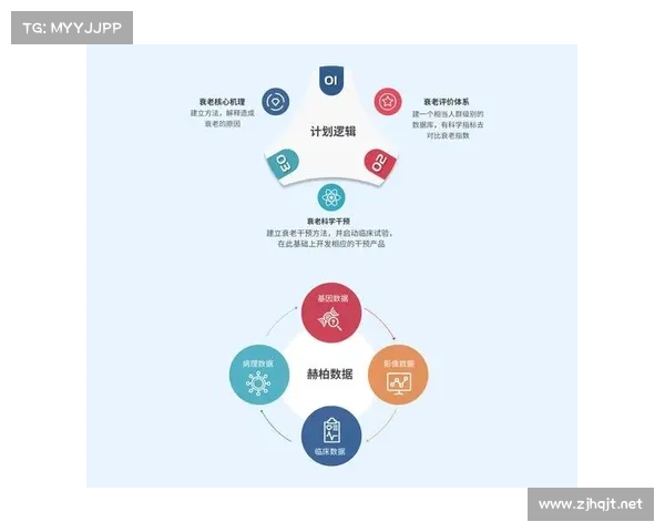 全面深入探索五大联赛独特魅力与多维核心竞争优势的体系全景解读 全面深入探索五大联赛独特魅力与多维核心竞争优势的体系全景解读